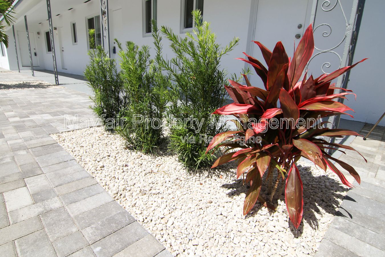 Gallery Image 14