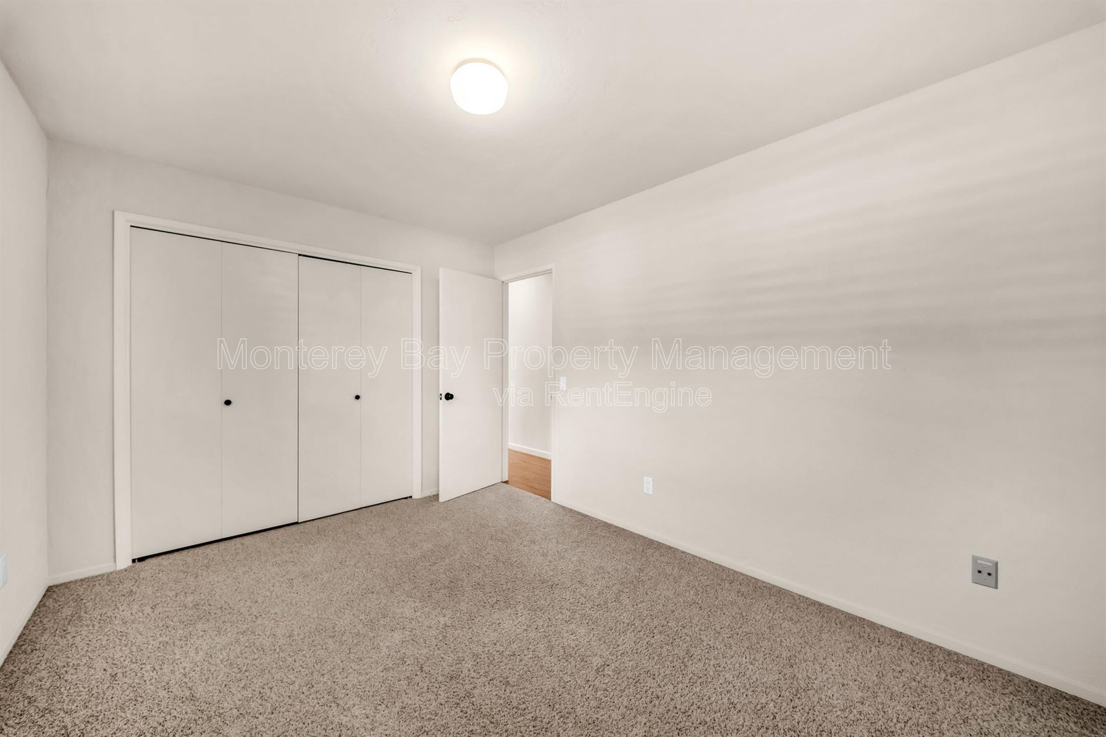 Gallery Image 38