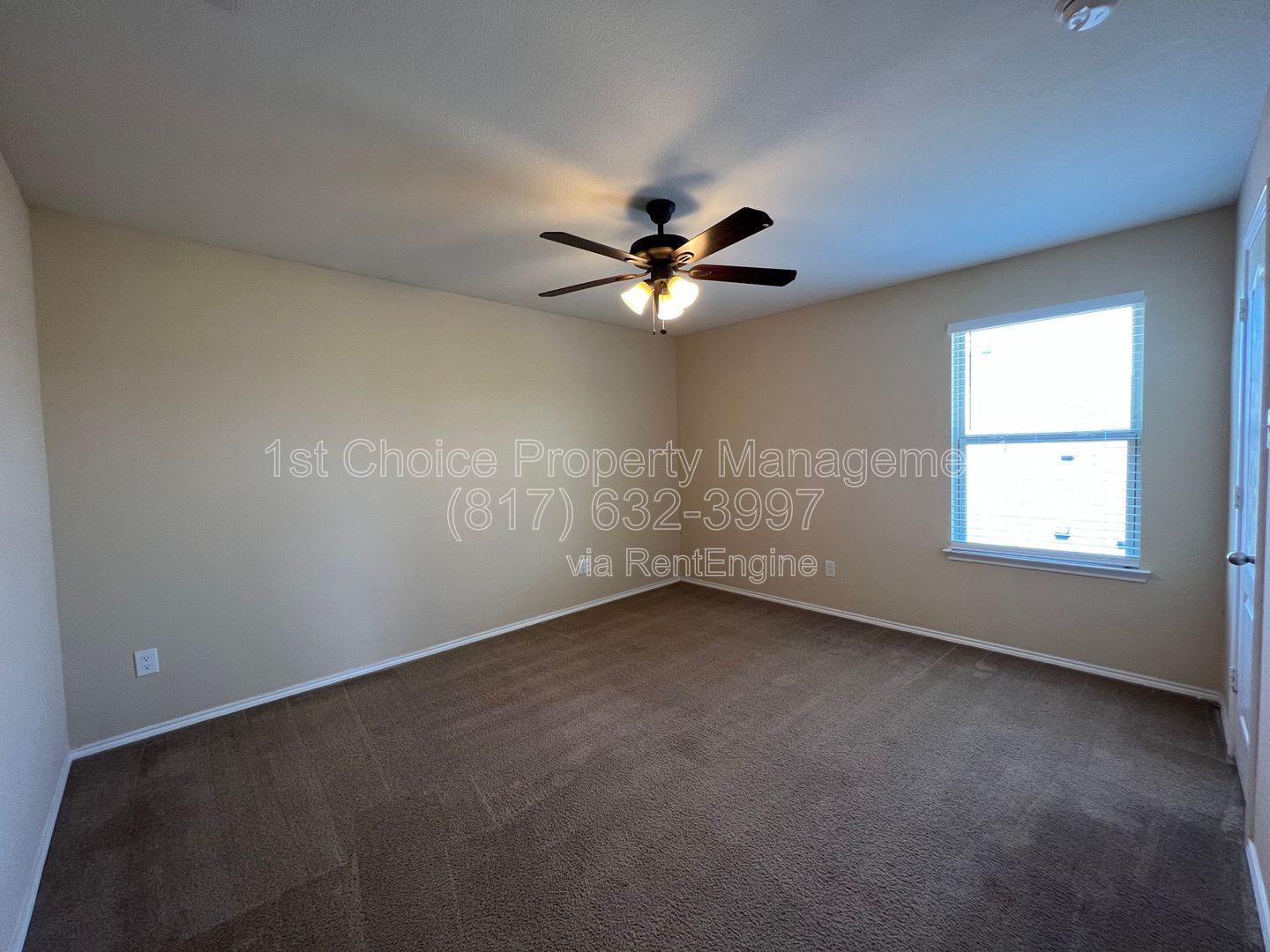 Gallery Image 19