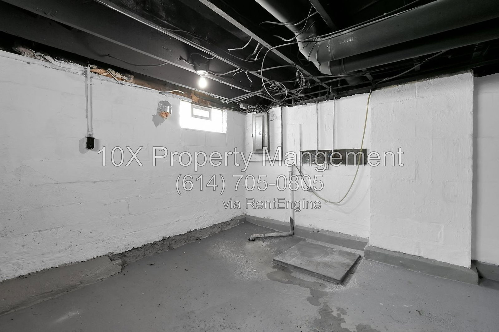 Gallery Image 19