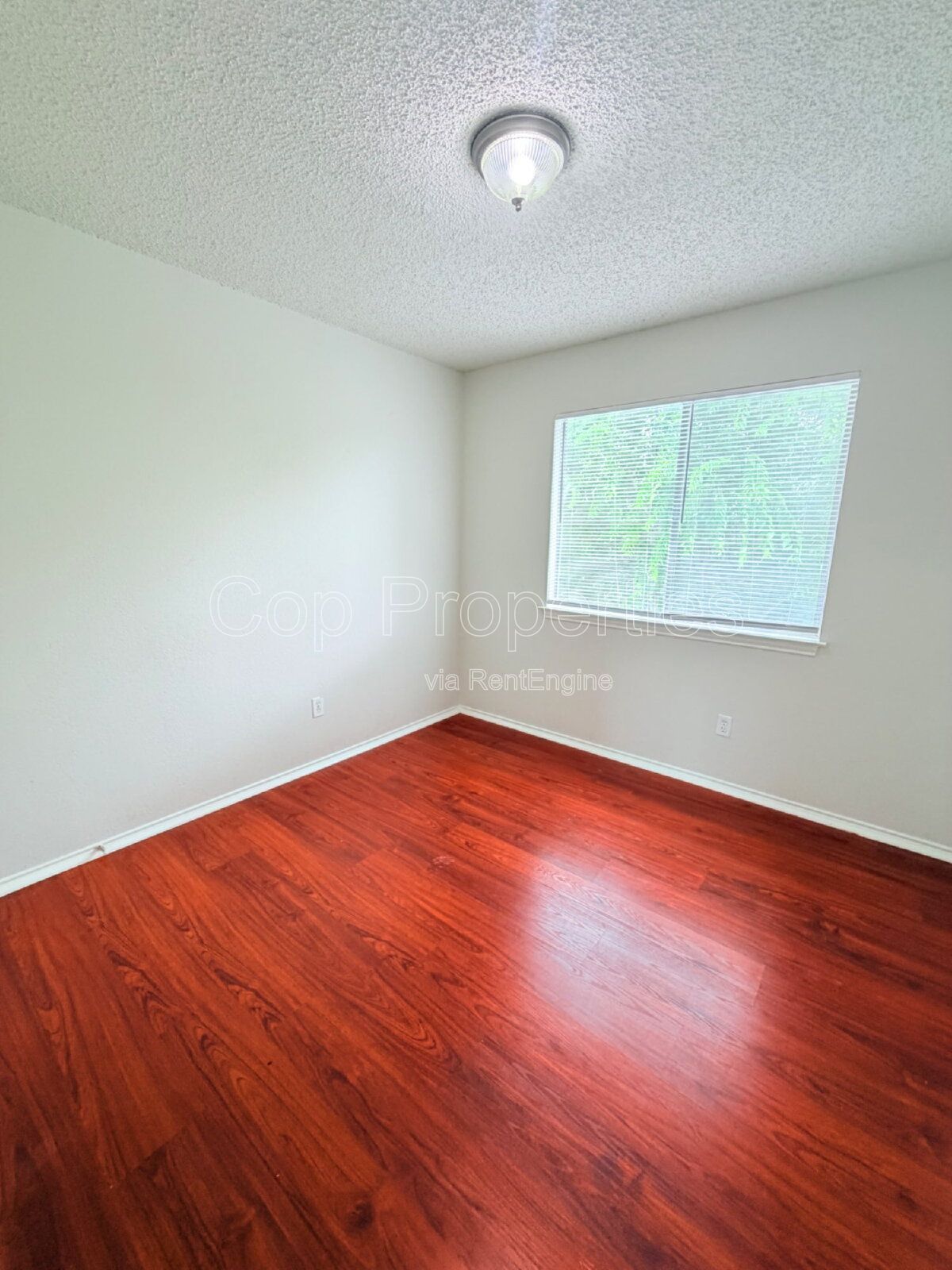 Gallery Image 16