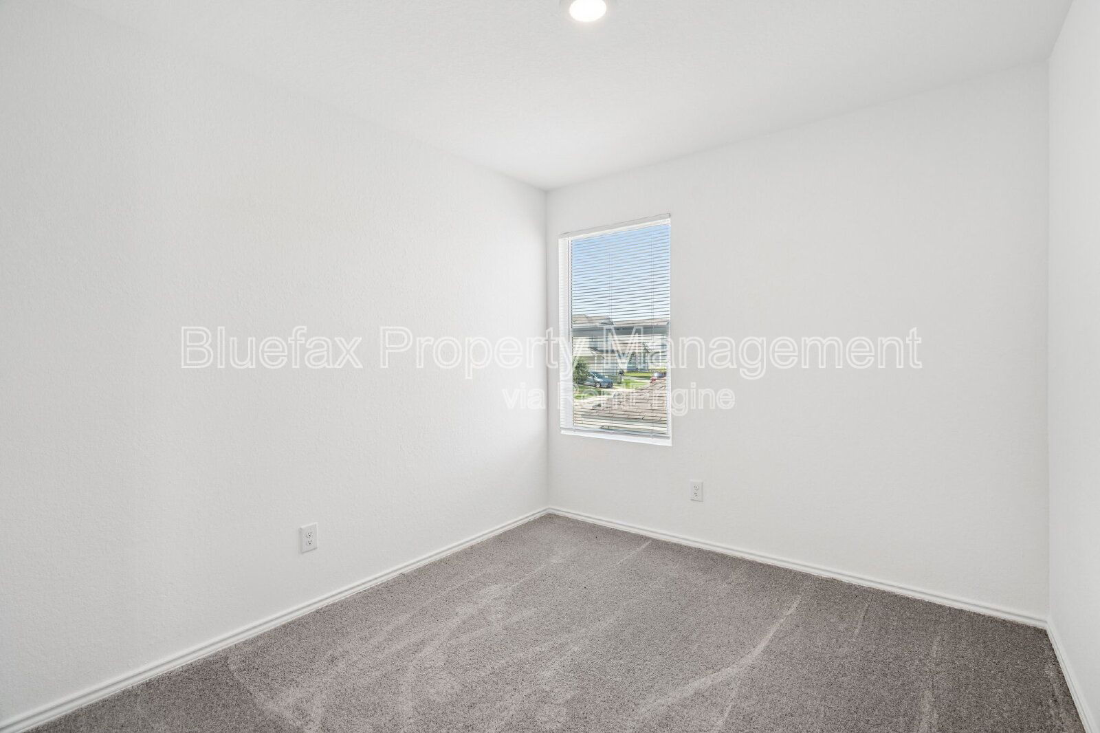 Gallery Image 21