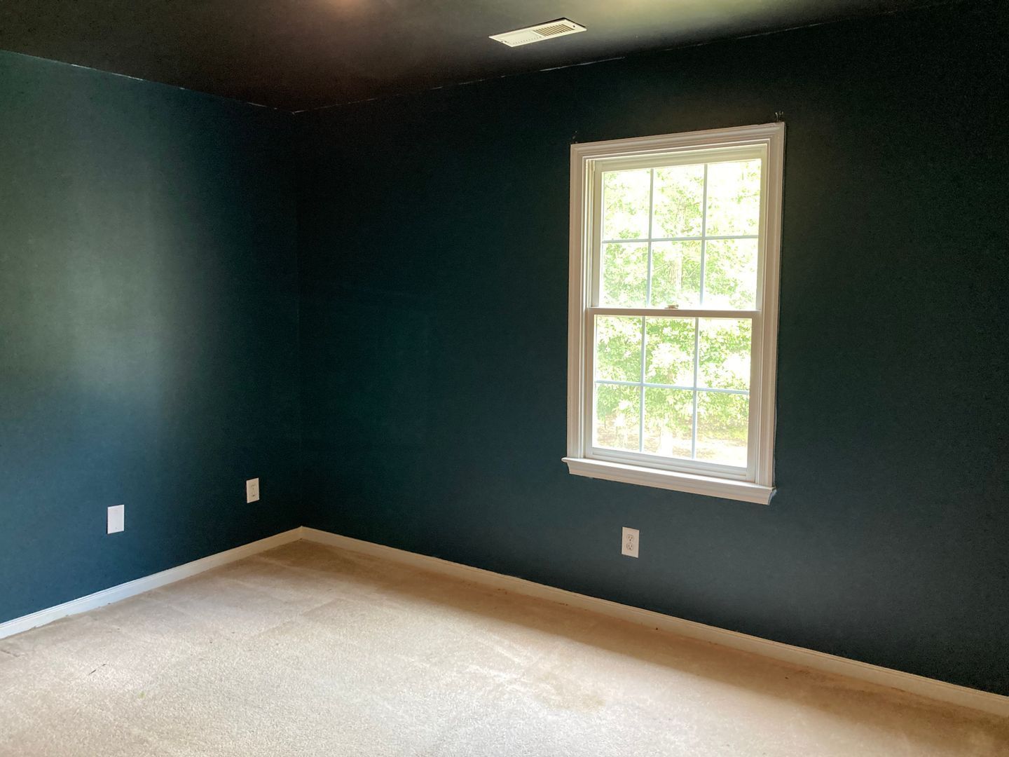 Gallery Image 15