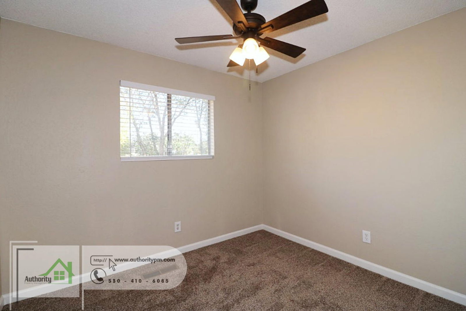 Gallery Image 17
