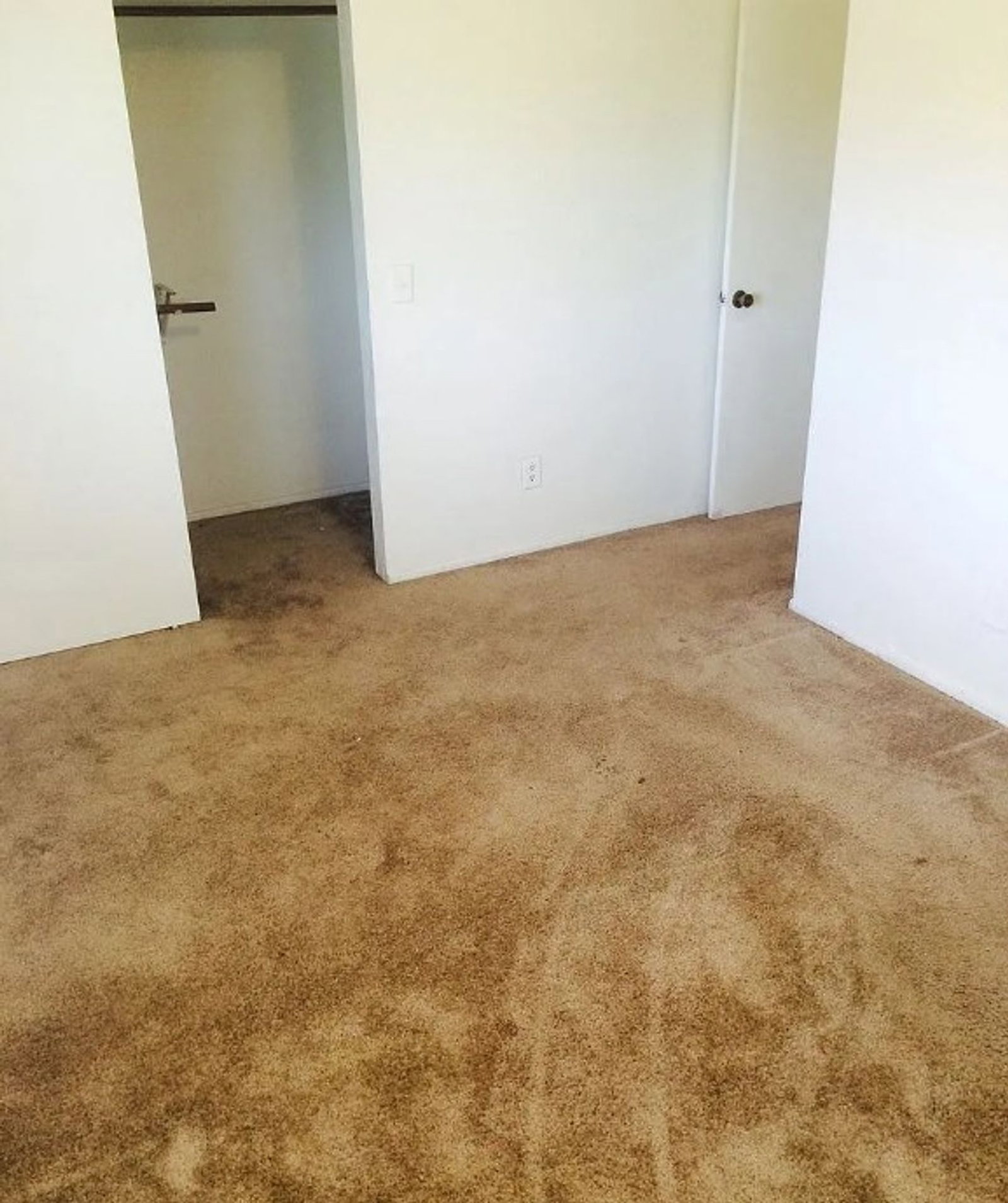 Gallery Image 21
