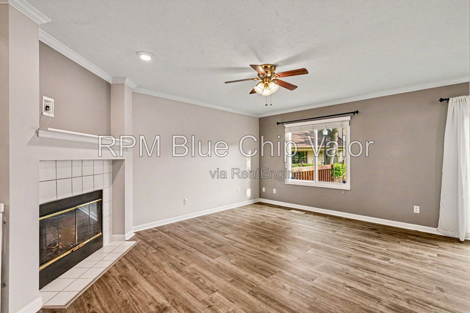 Gallery Image 7