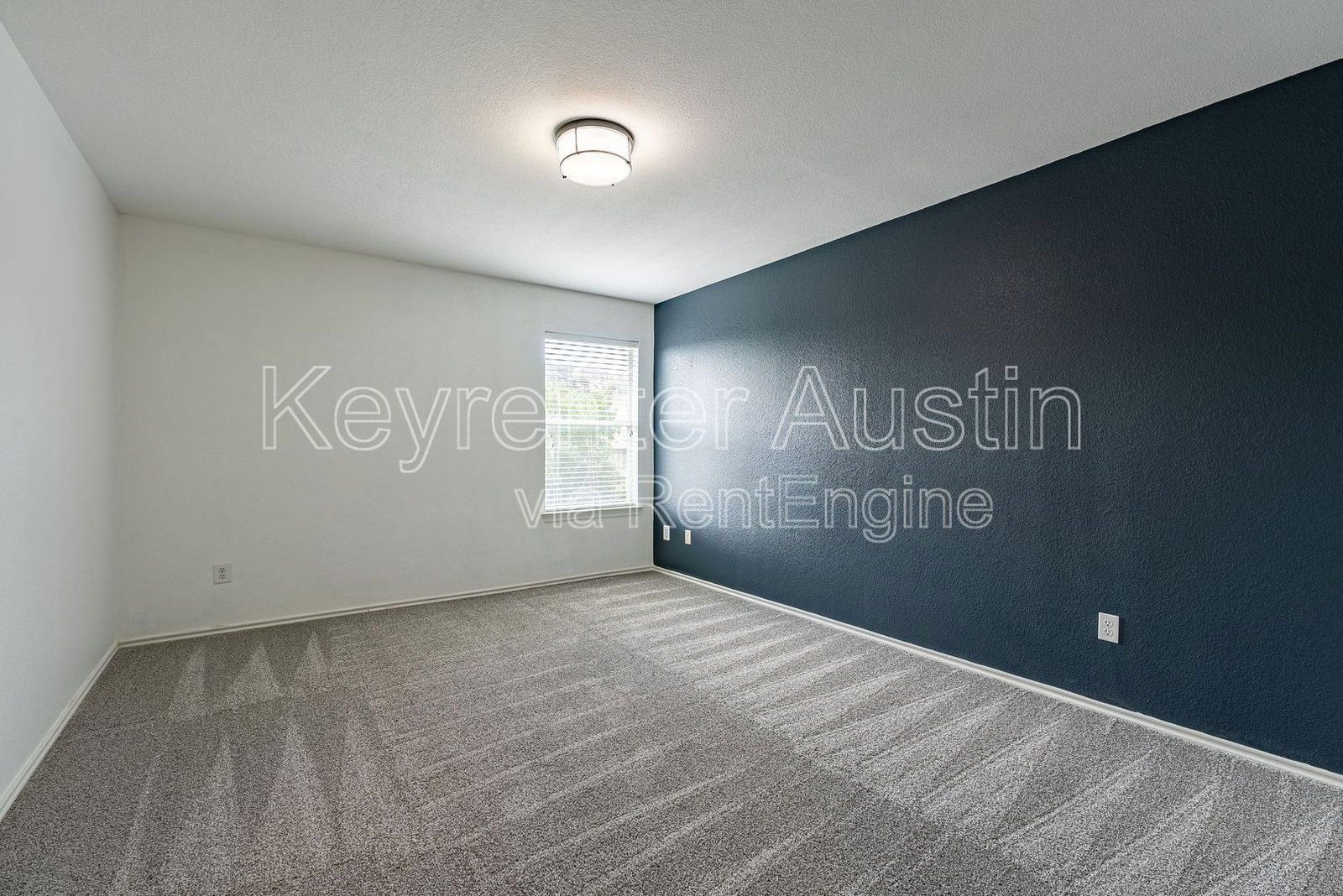 Gallery Image 19