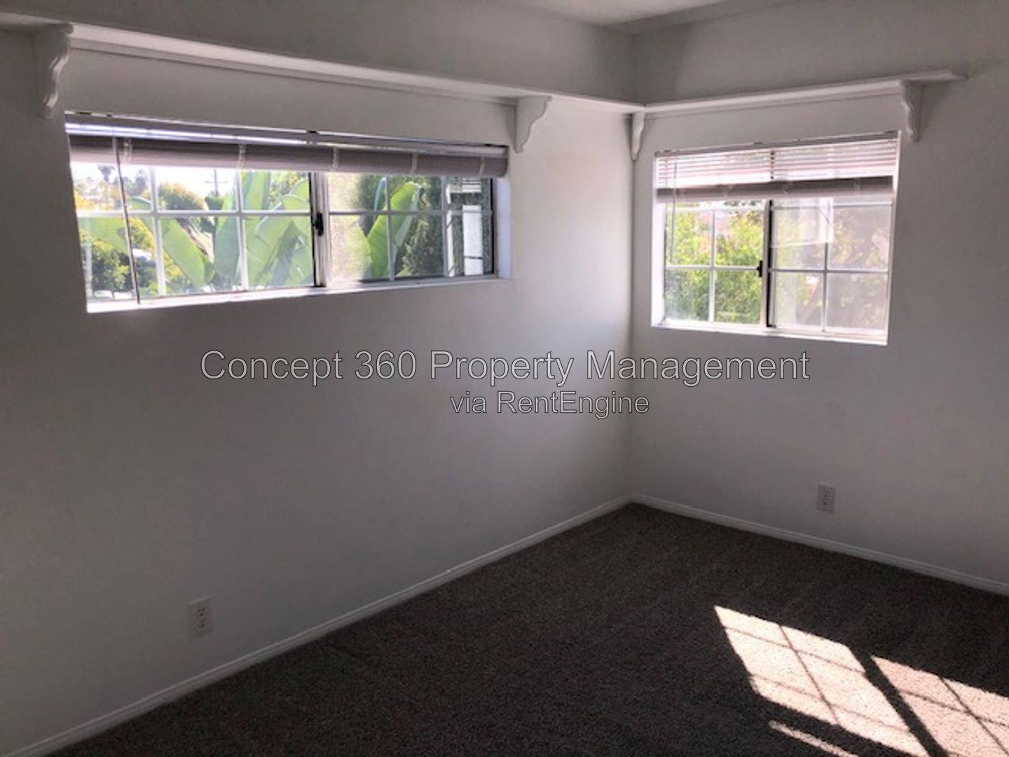 Gallery Image 19