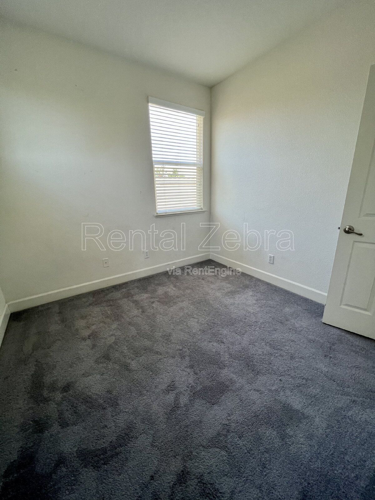 Gallery Image 19