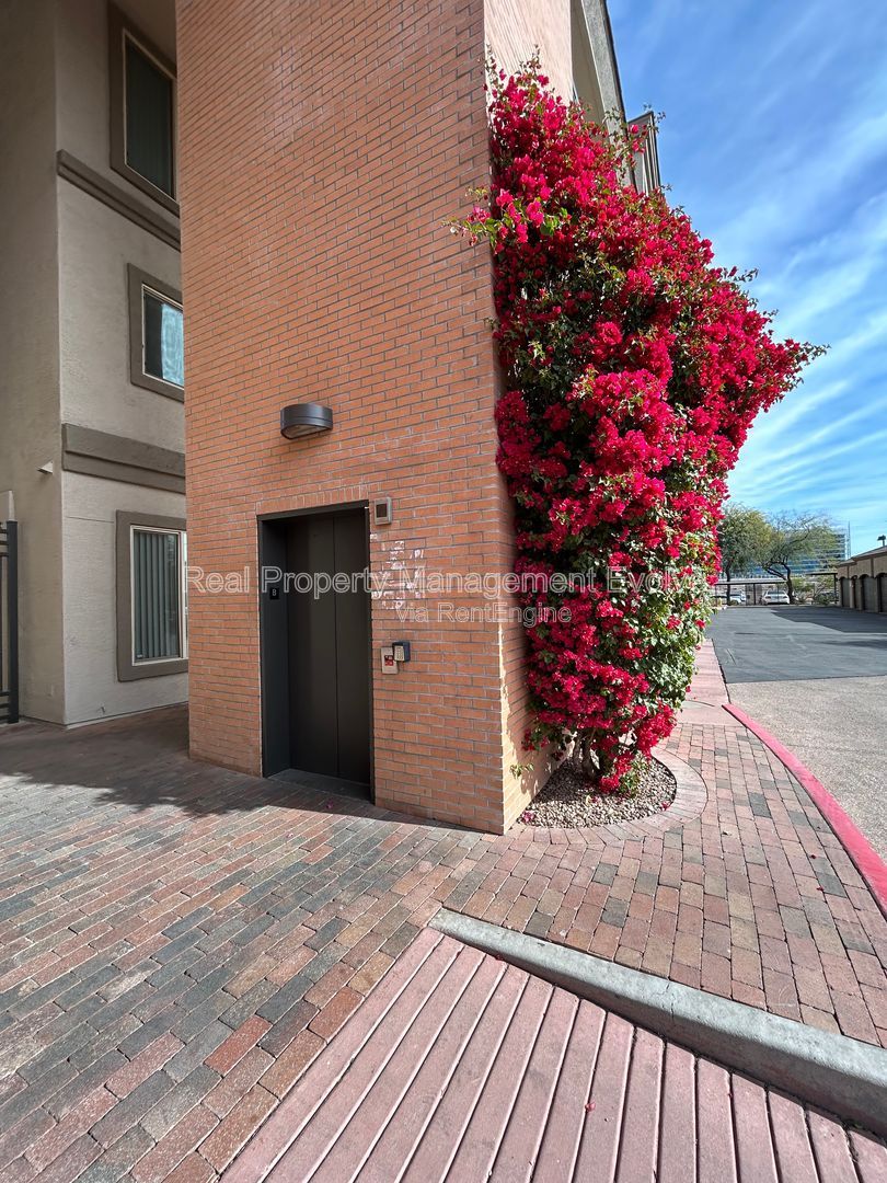 Gallery Image 60