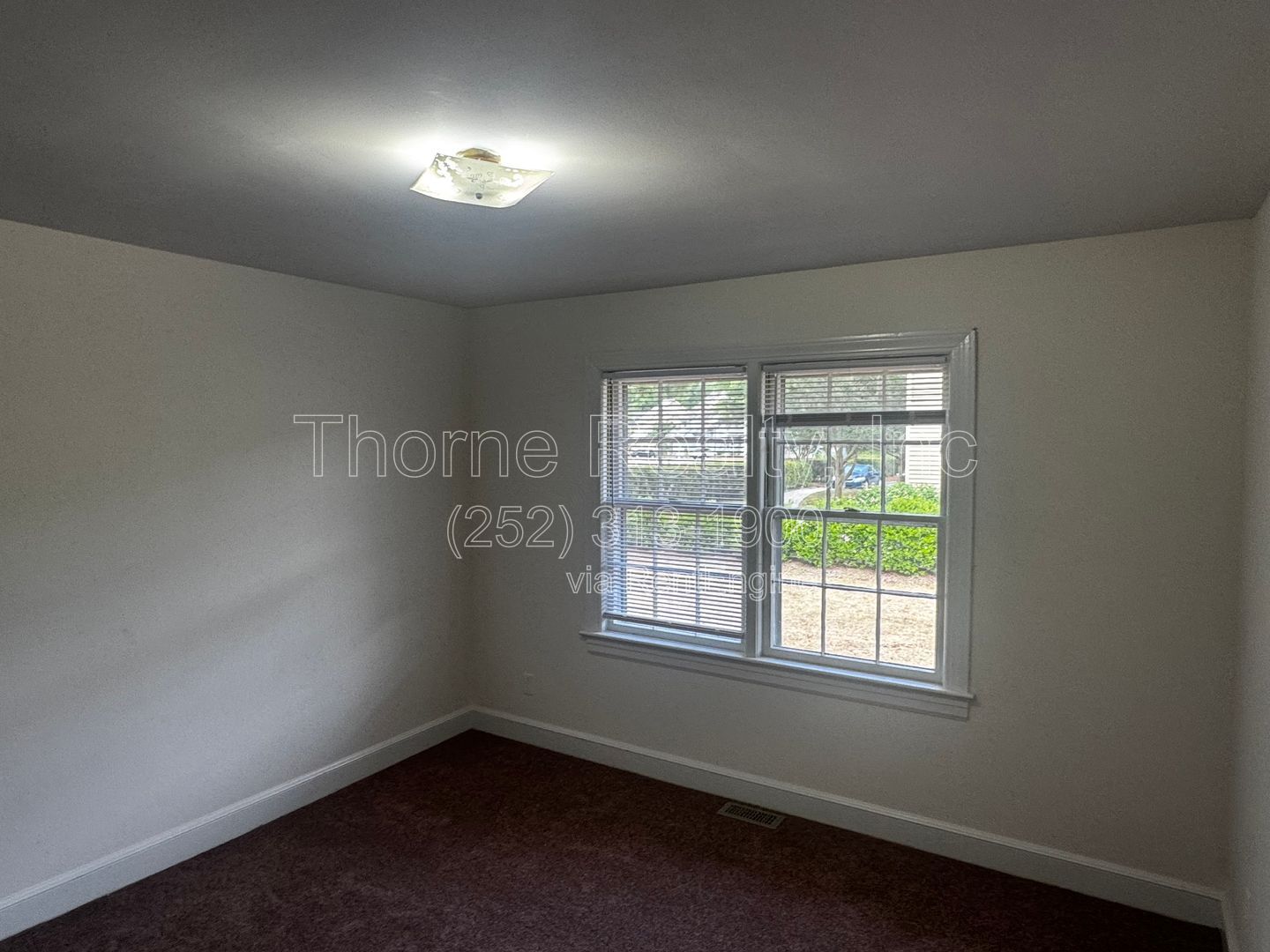 Gallery Image 16