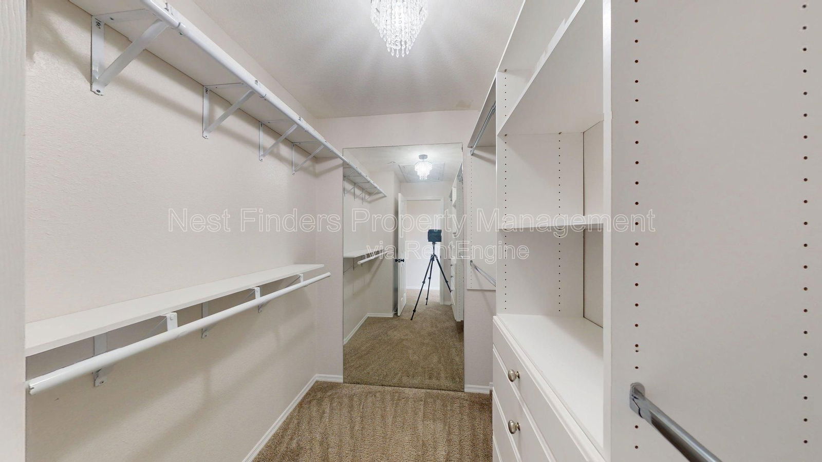 Gallery Image 19