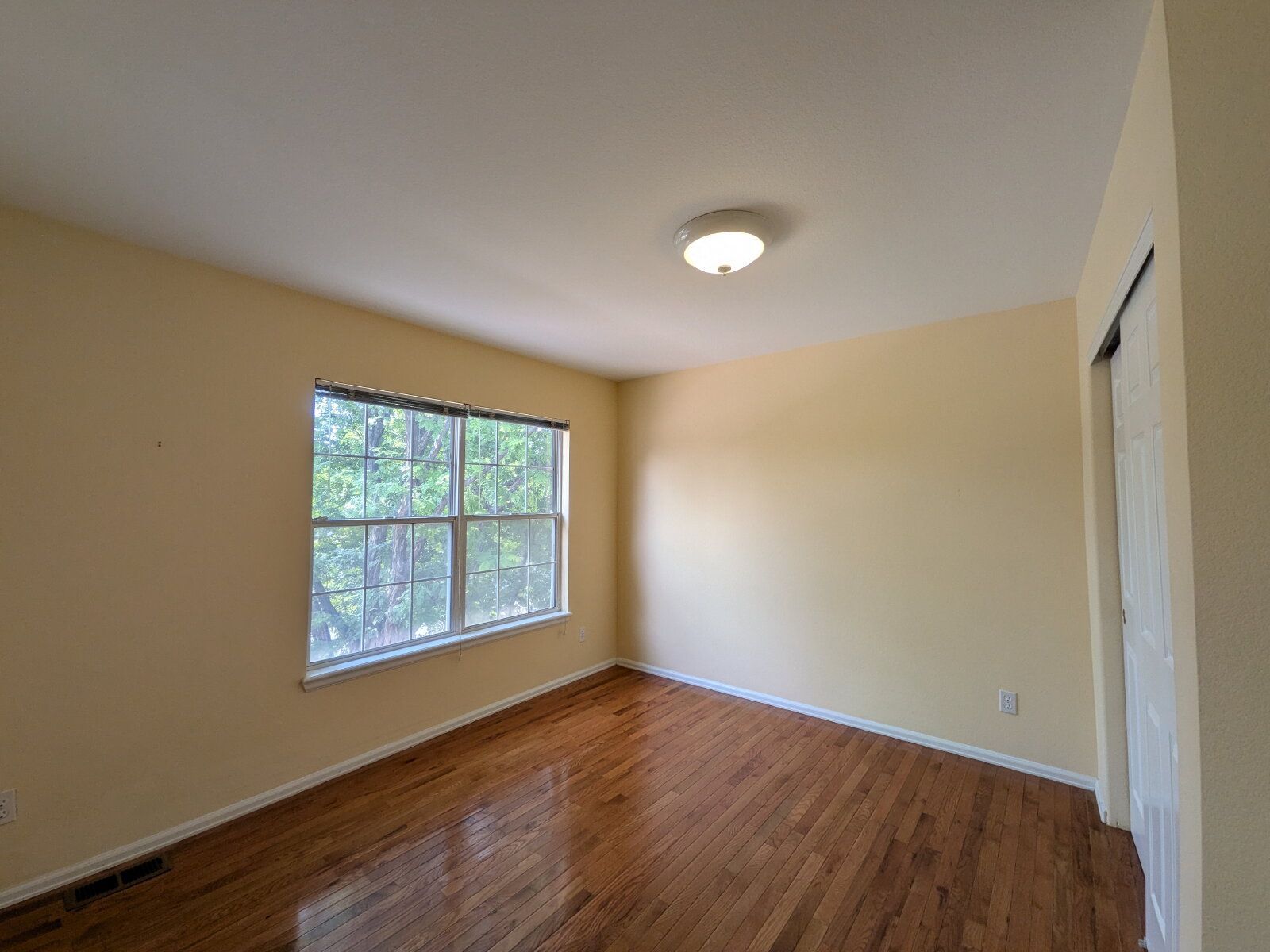 Gallery Image 17