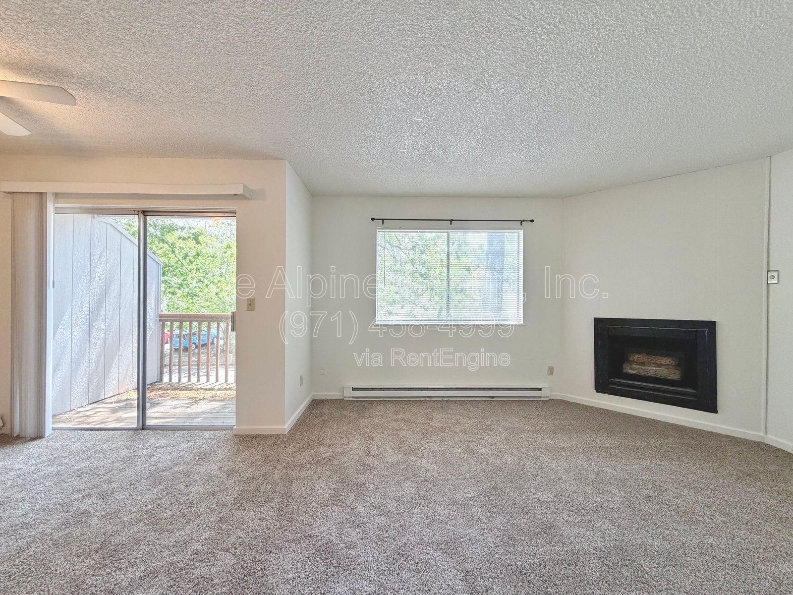 Gallery Image 0