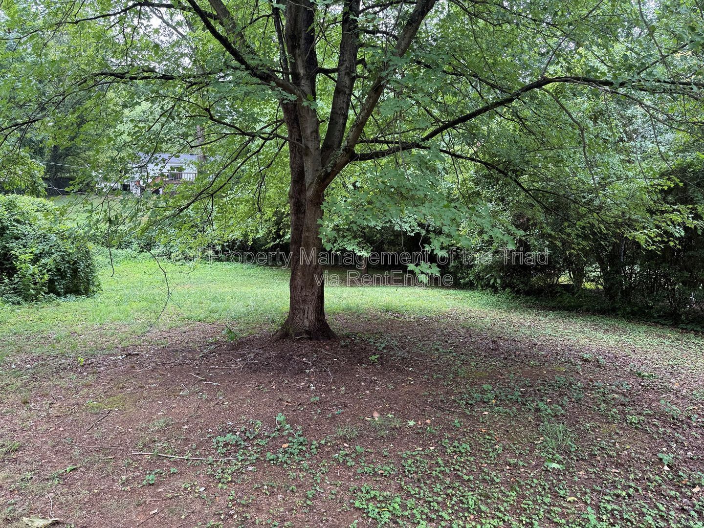 Gallery Image 14