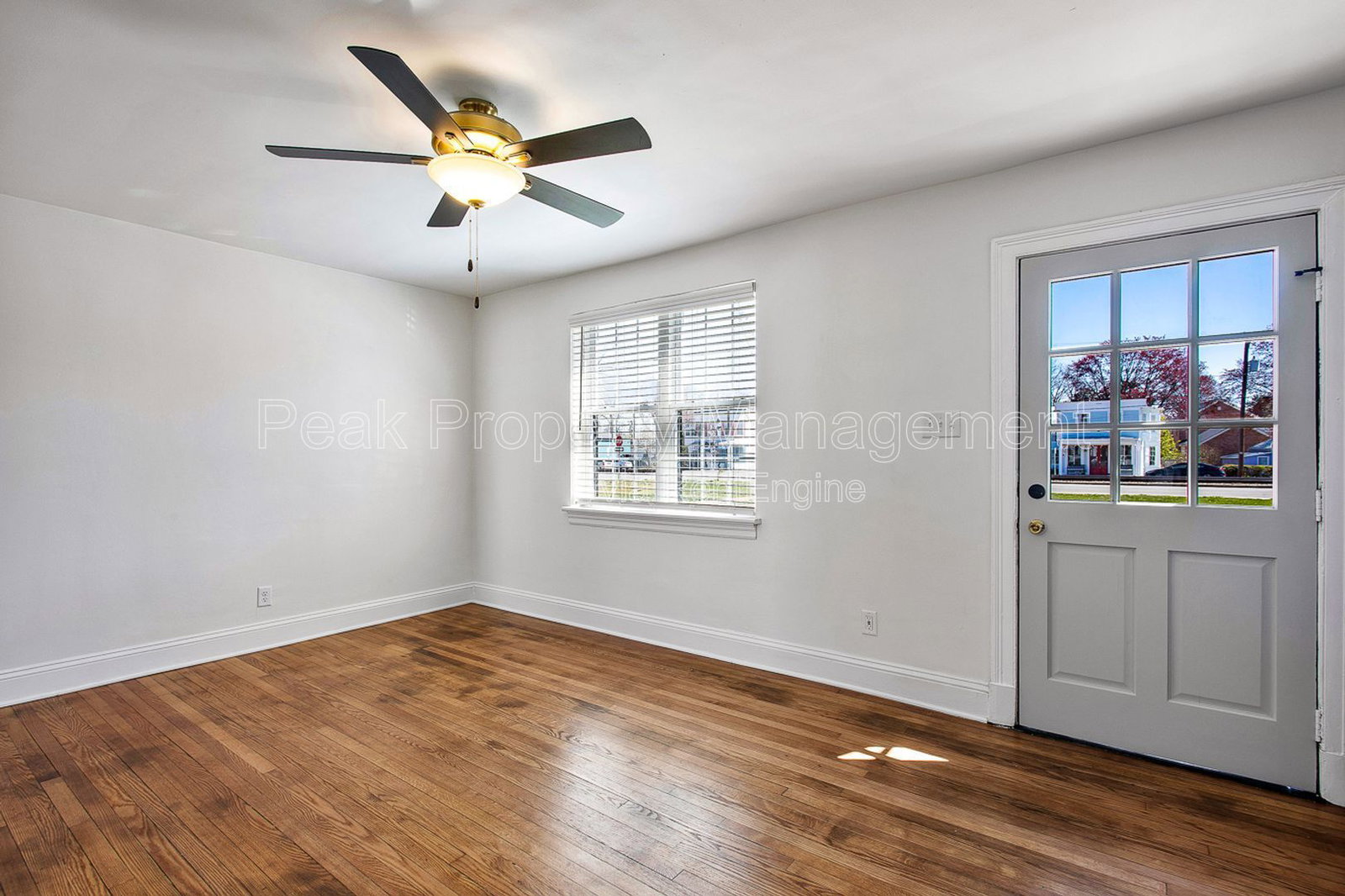 Gallery Image 8