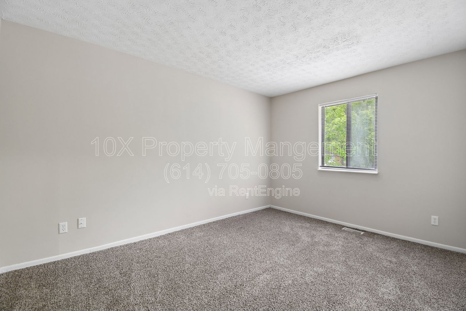 Gallery Image 35