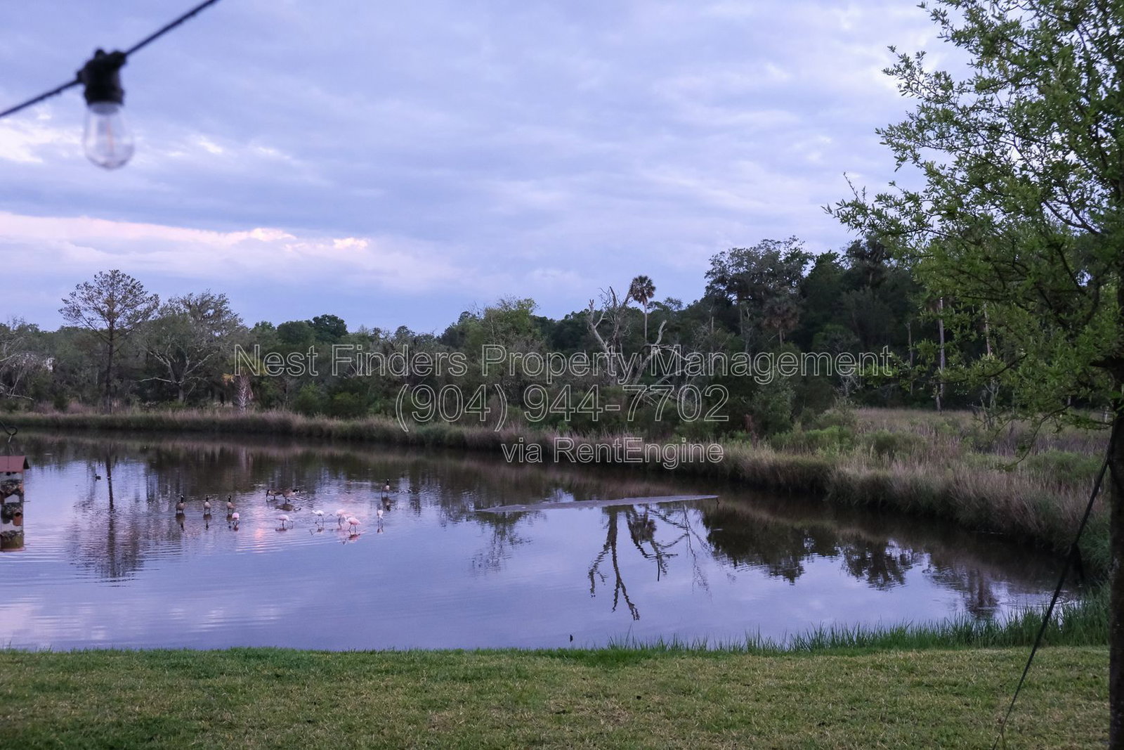 Gallery Image 26