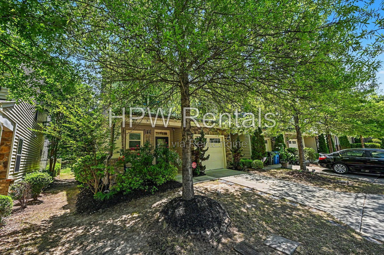 Gallery Image 0