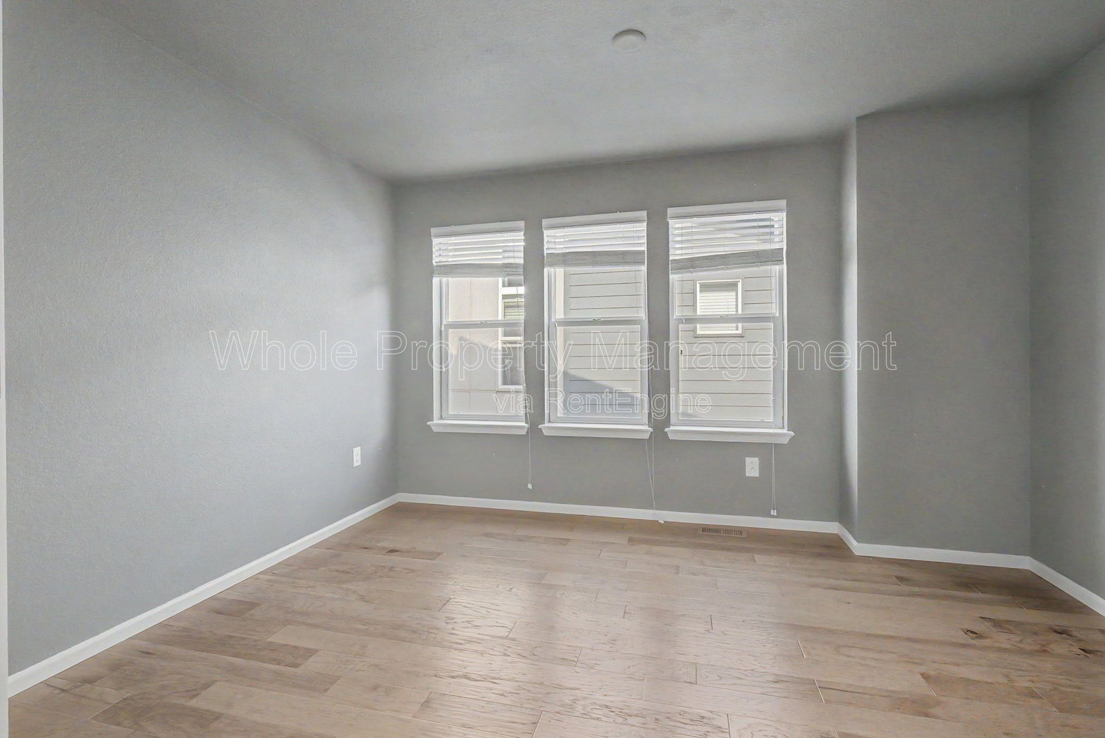 Gallery Image 20
