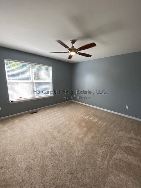 Gallery Image 19