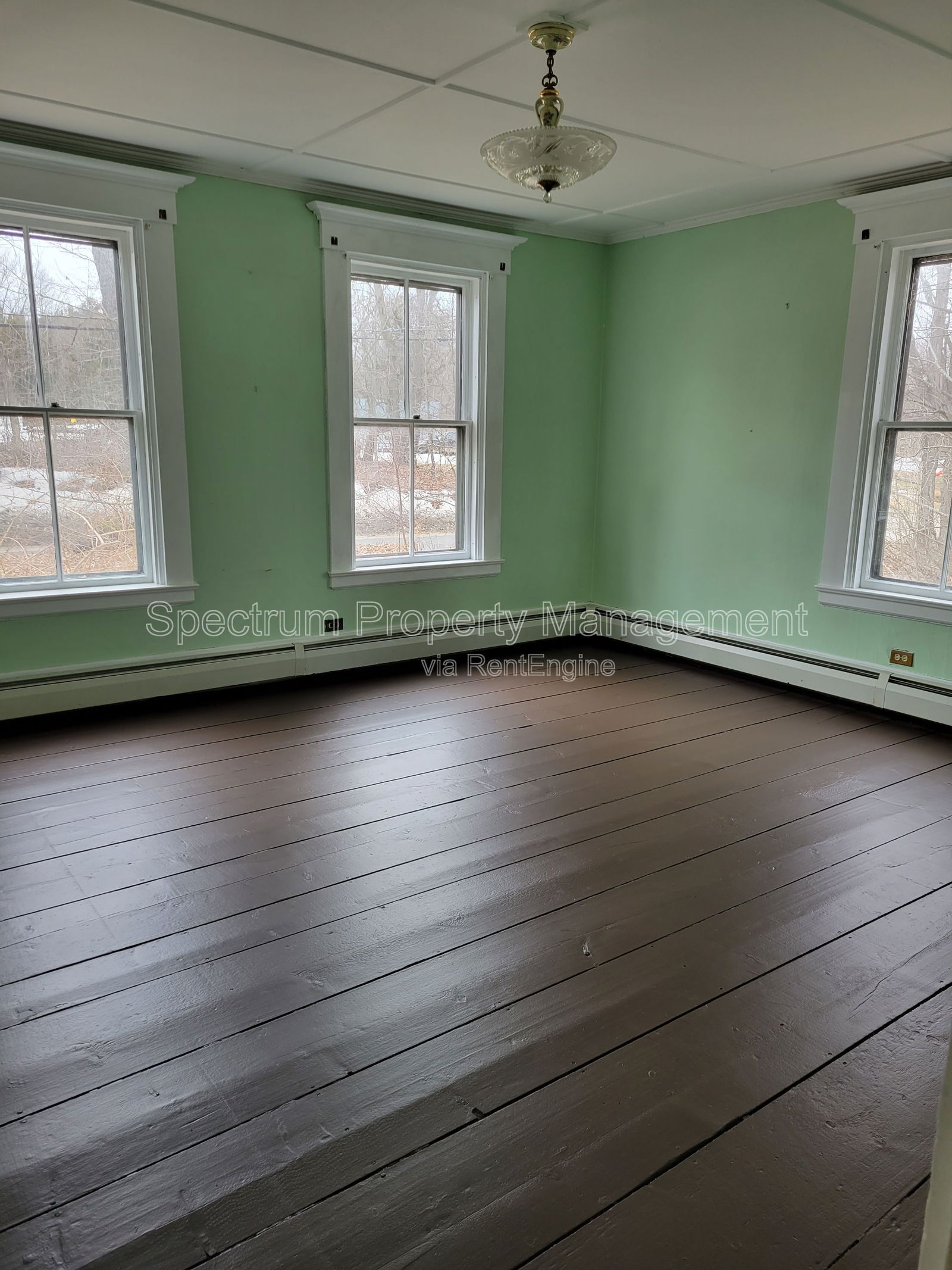 Gallery Image 14