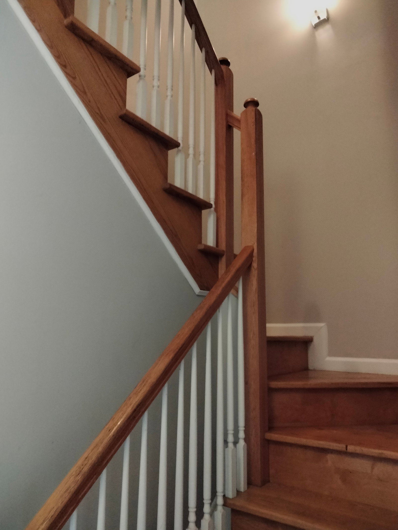 Gallery Image 8