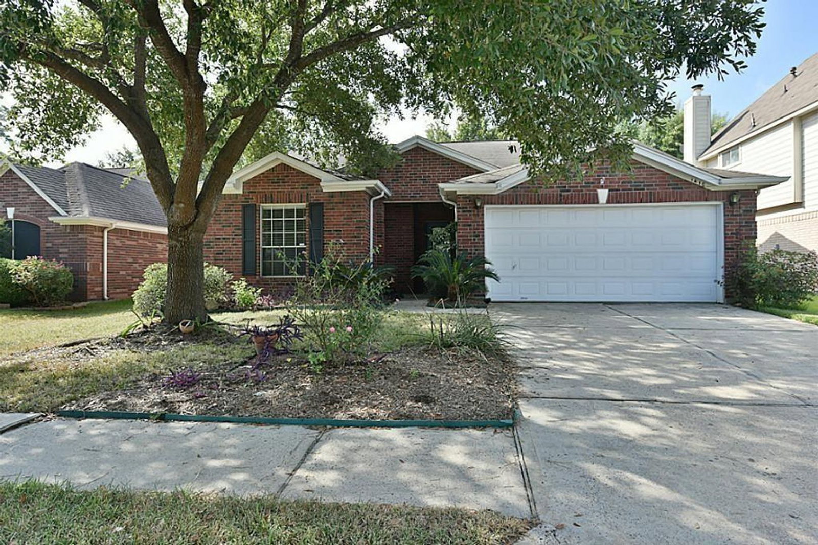 Gallery Image 0
