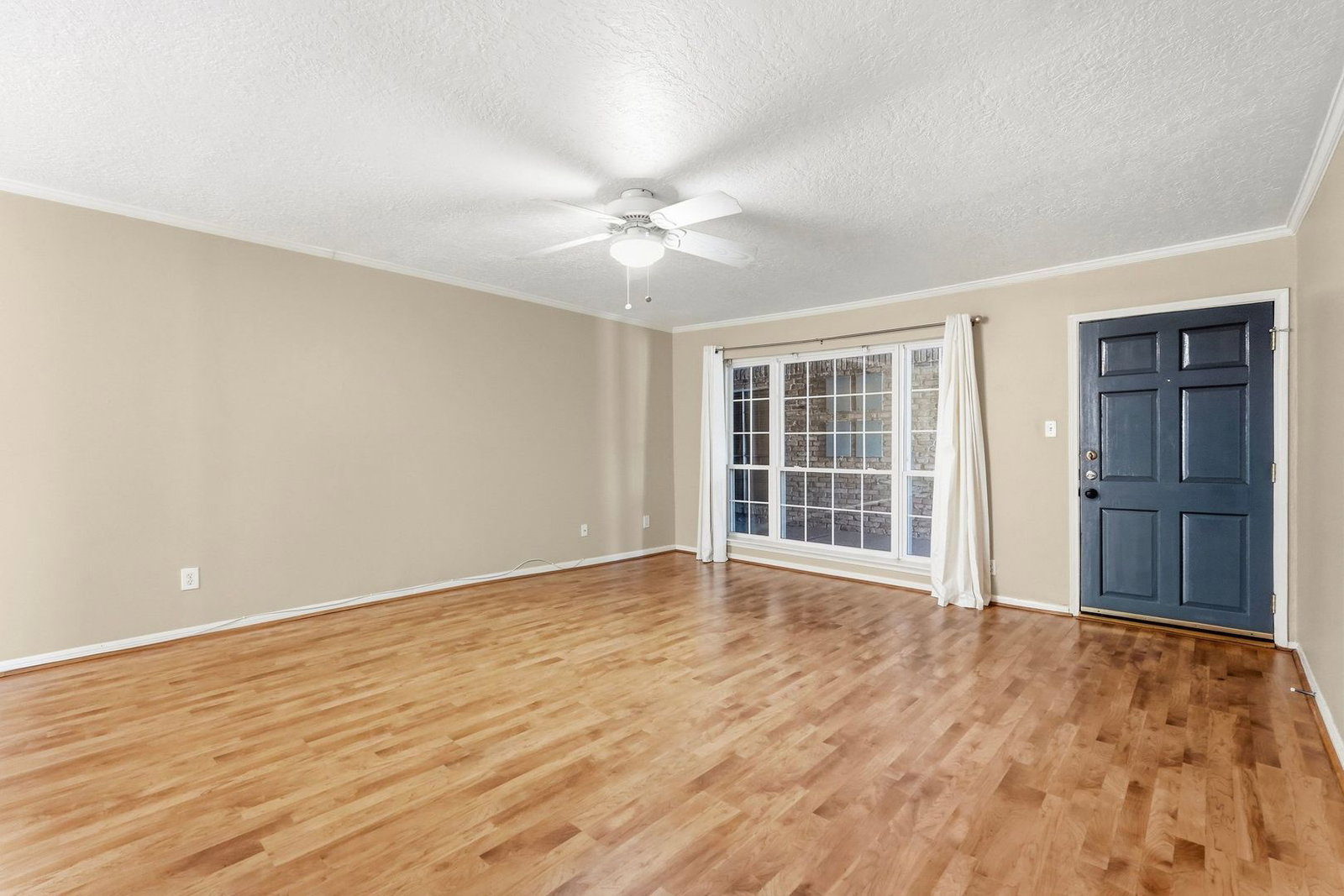 Gallery Image 8