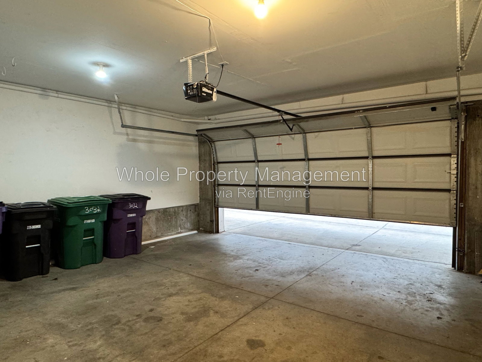 Gallery Image 19