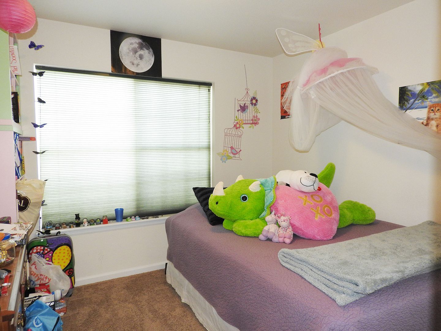 Gallery Image 13