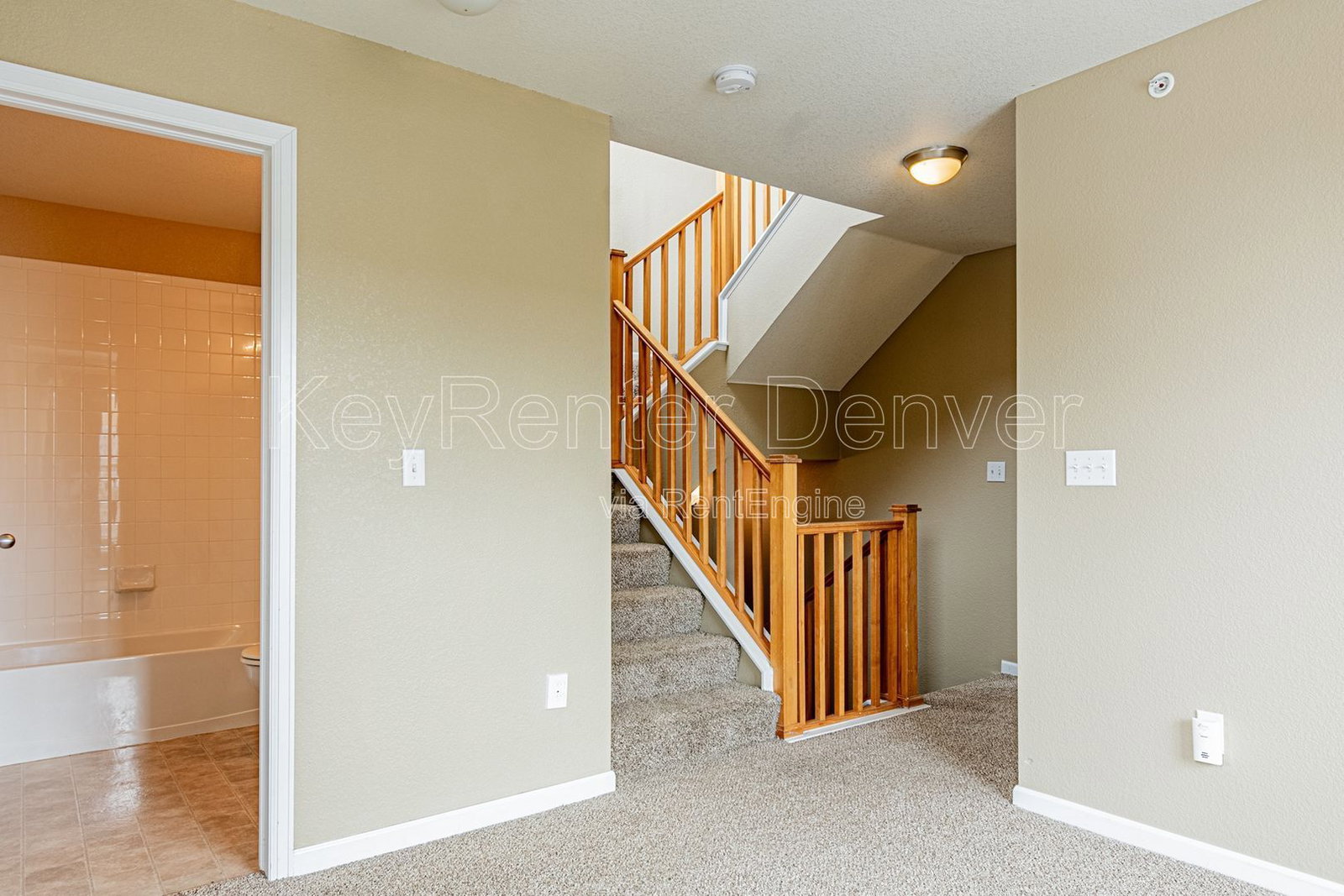 Gallery Image 41