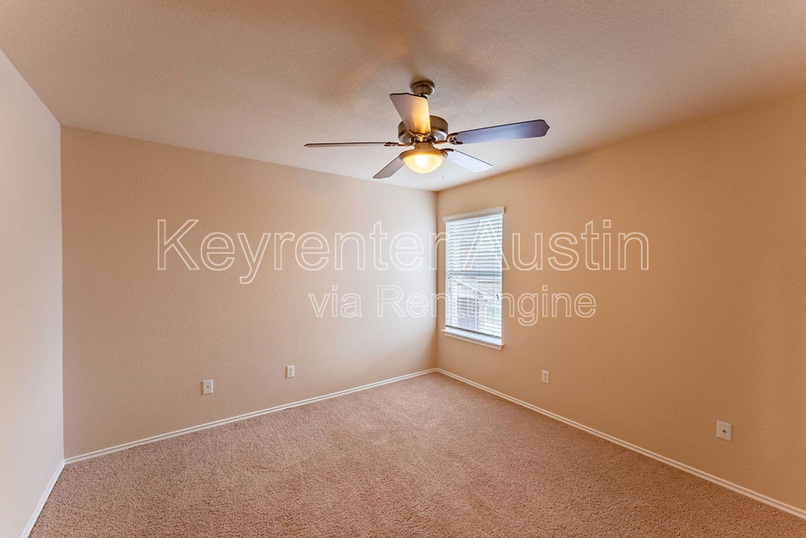Gallery Image 20