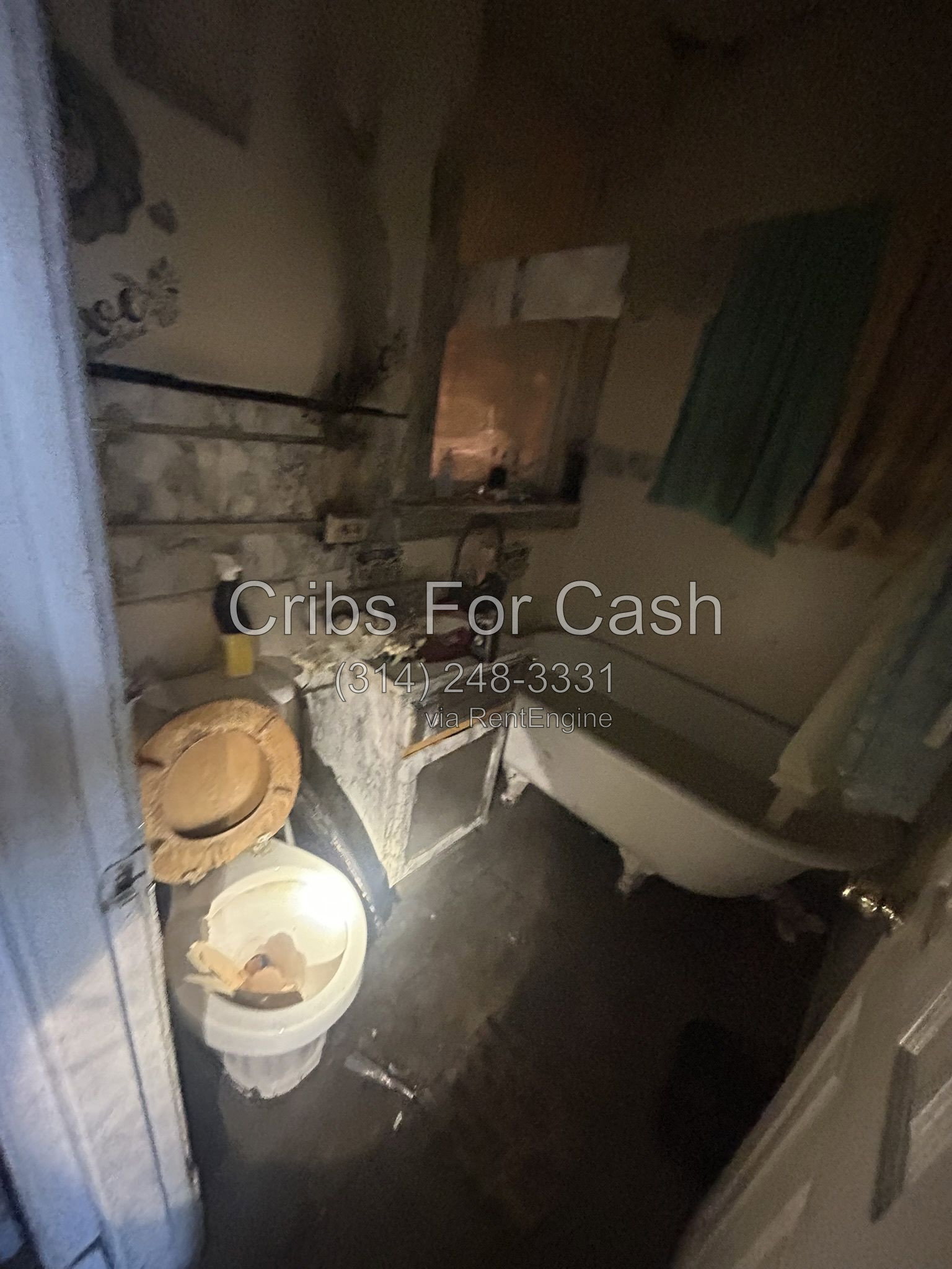 Gallery Image 8