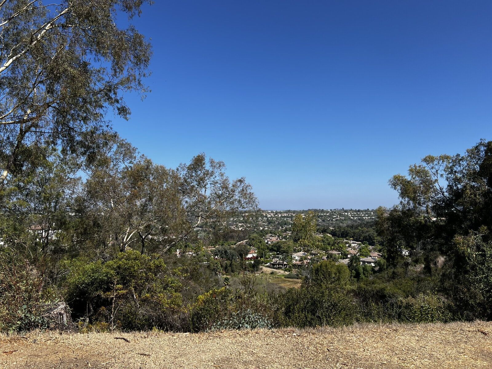 Gallery Image 21