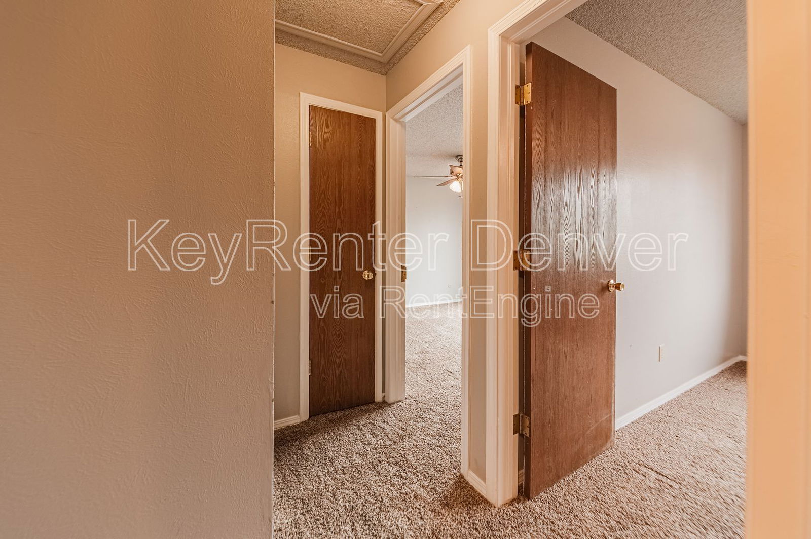 Gallery Image 31