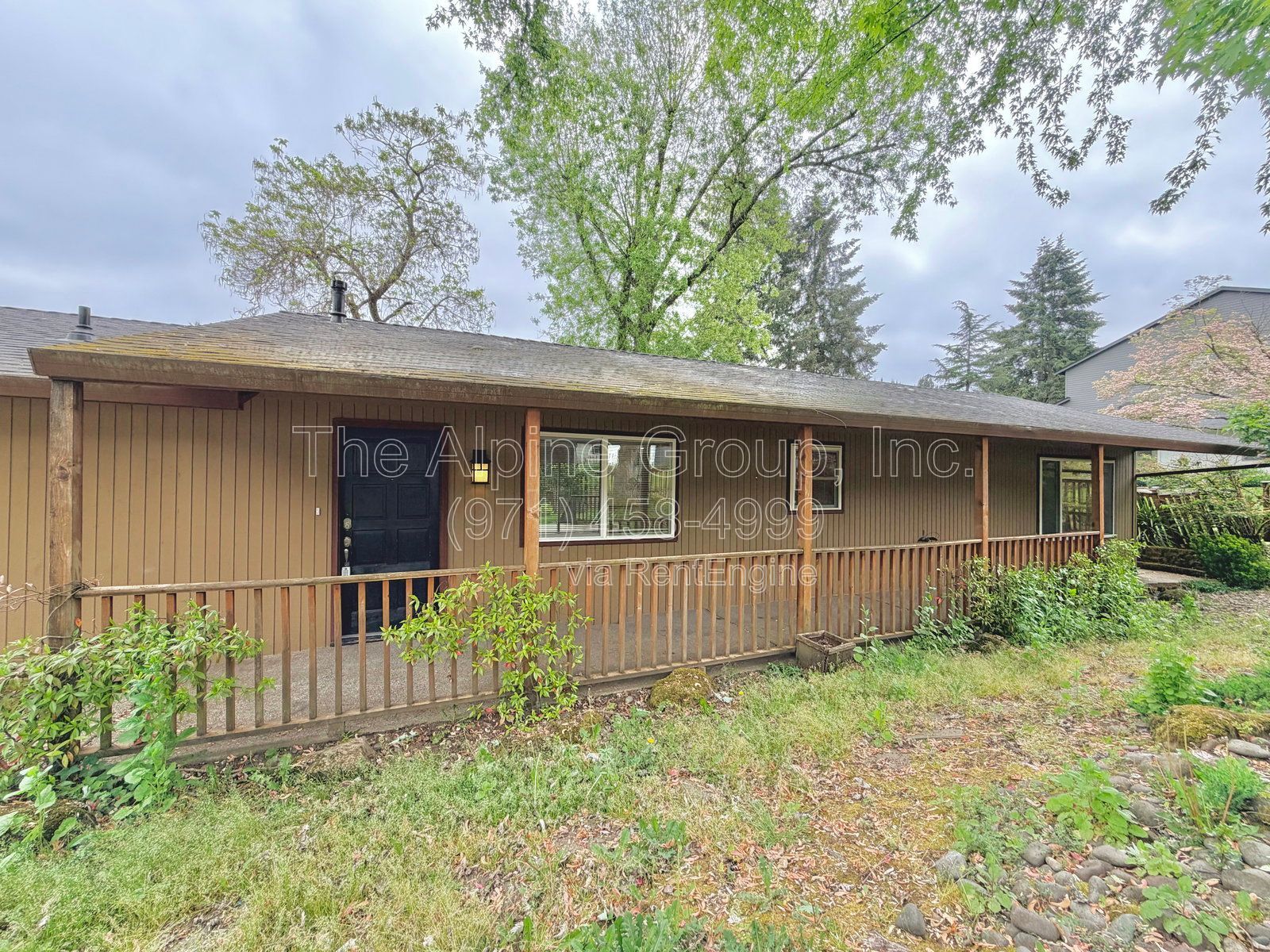 Gallery Image 0