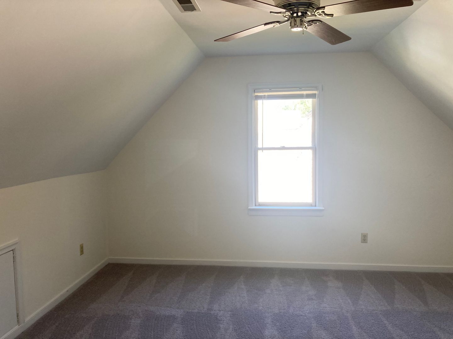 Gallery Image 19