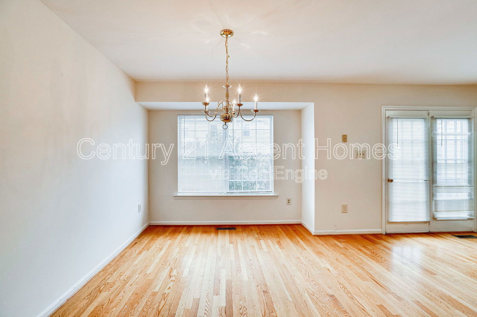 Gallery Image 17