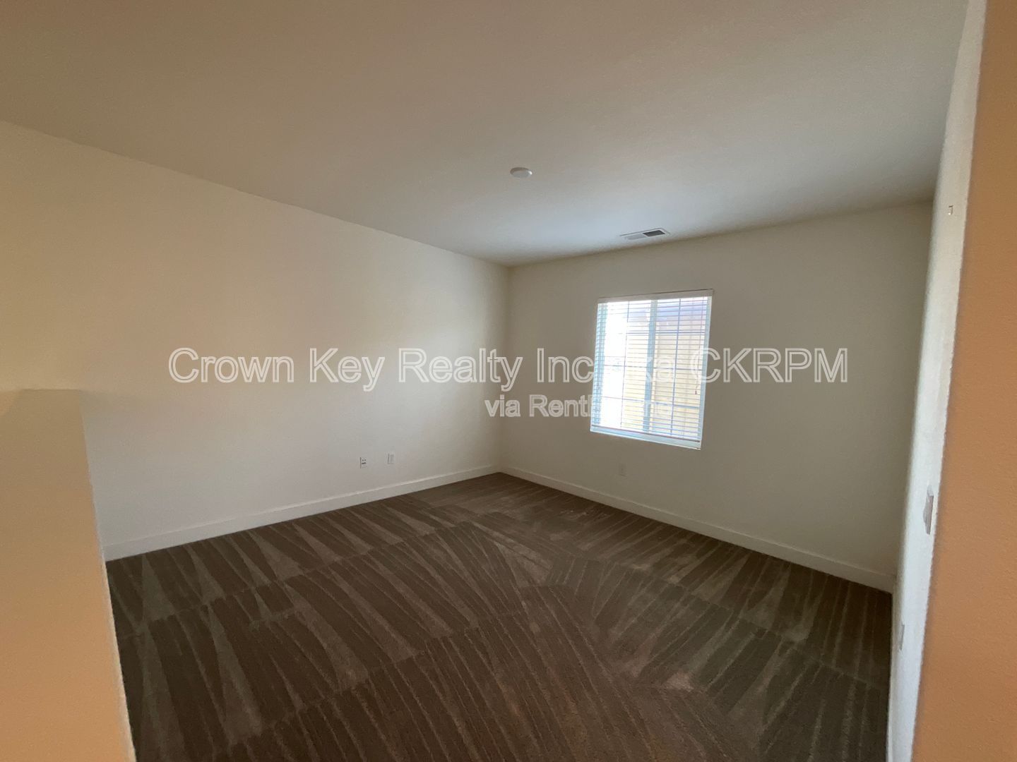 Gallery Image 19