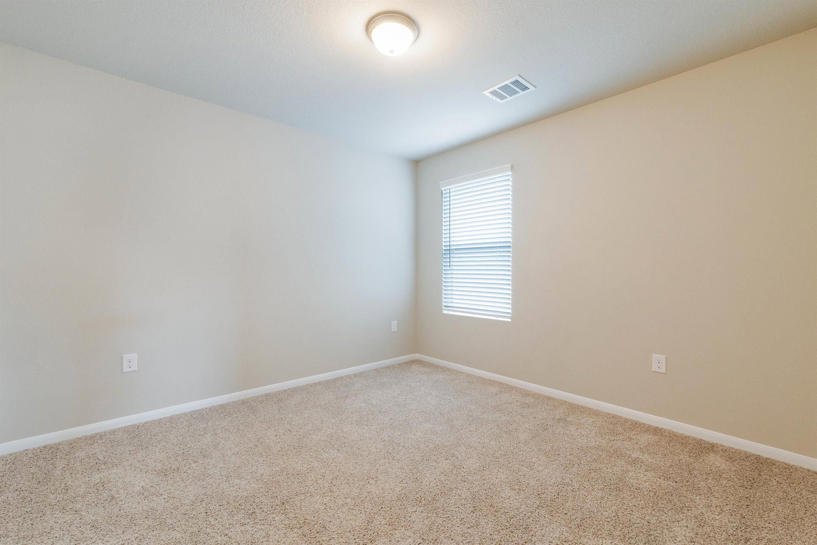 Gallery Image 19
