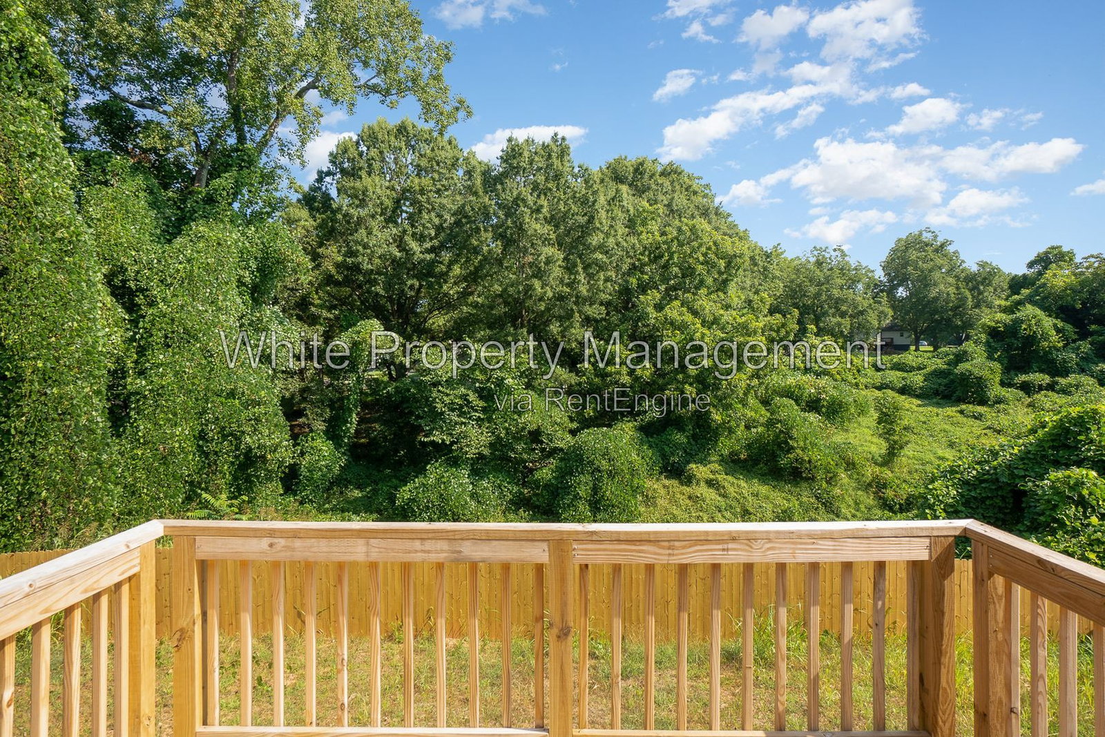 Gallery Image 17