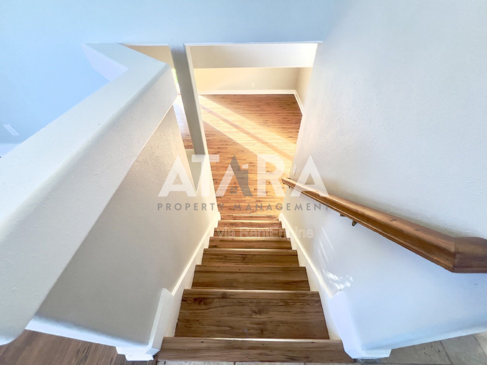 Gallery Image 35