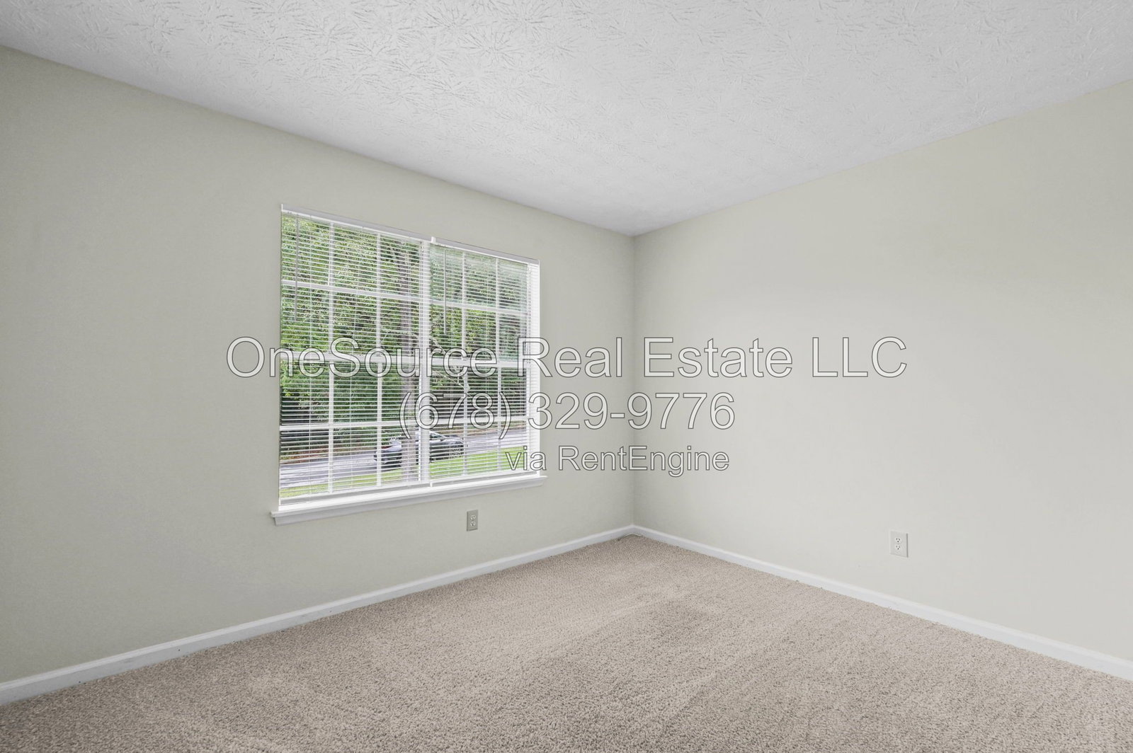 Gallery Image 26