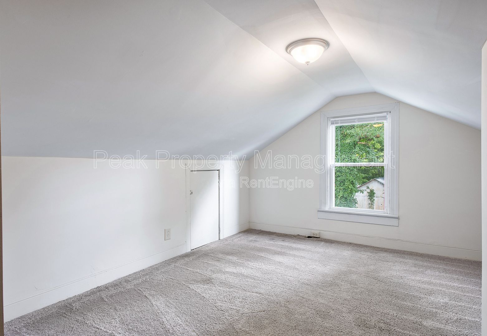 Gallery Image 17