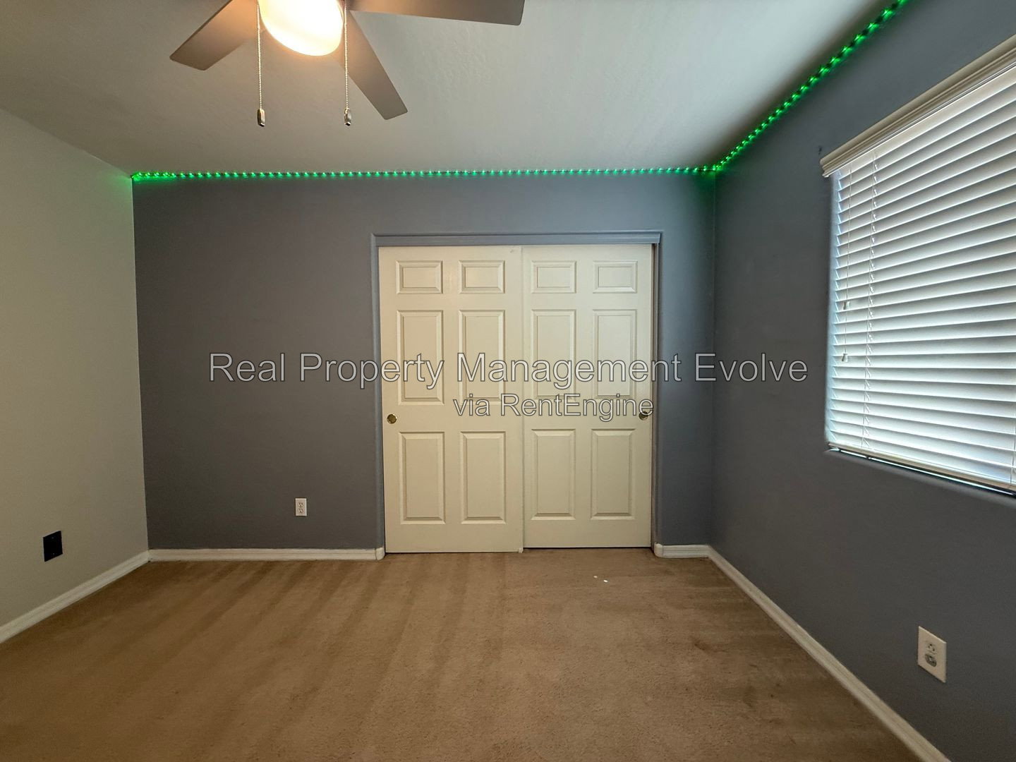 Gallery Image 32