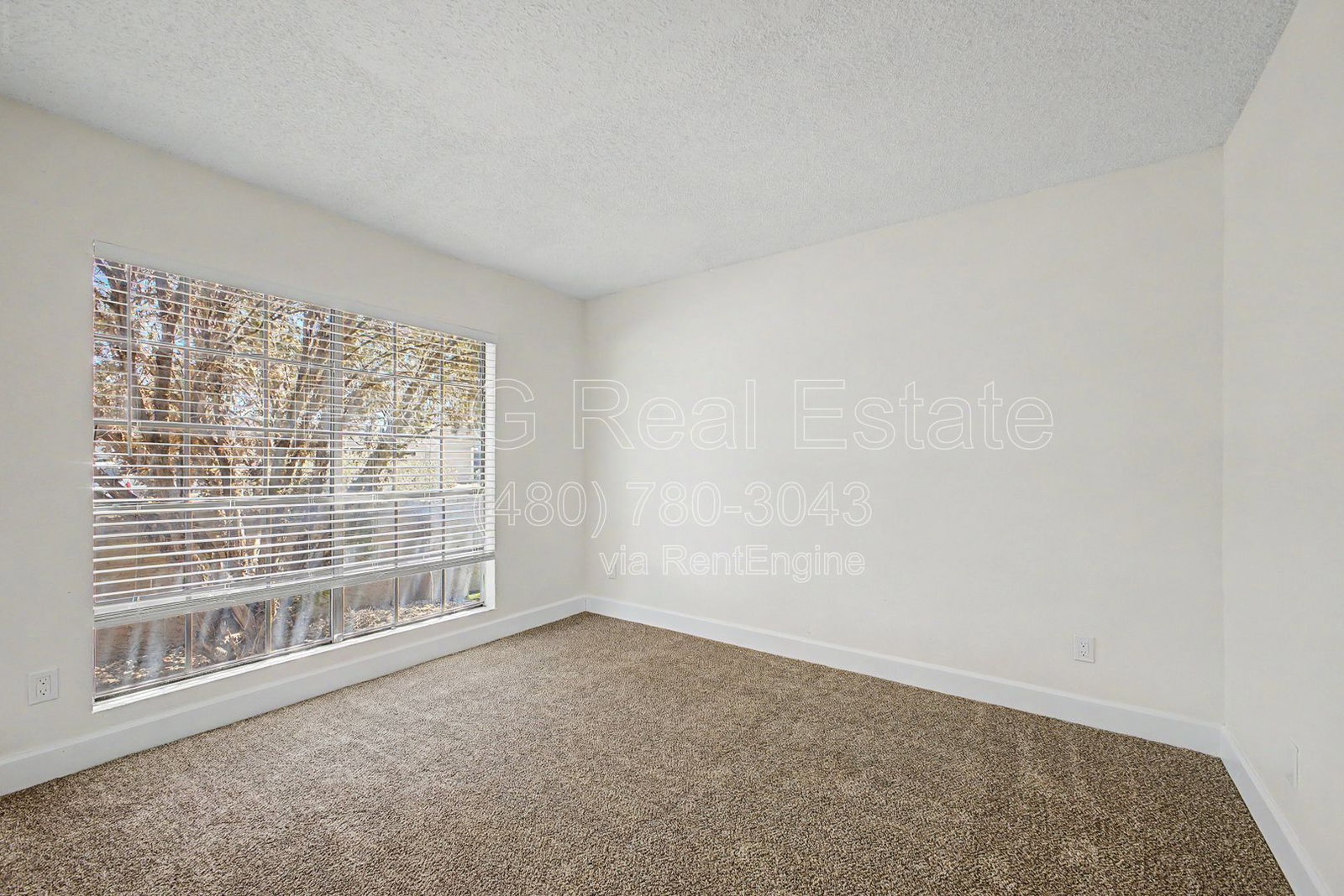 Gallery Image 30