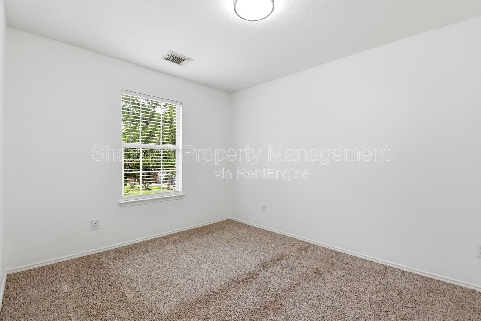 Gallery Image 41