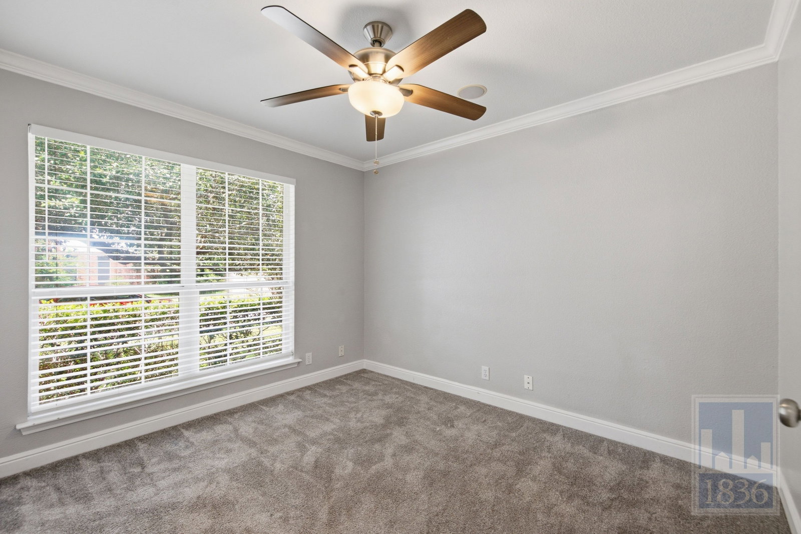 Gallery Image 19