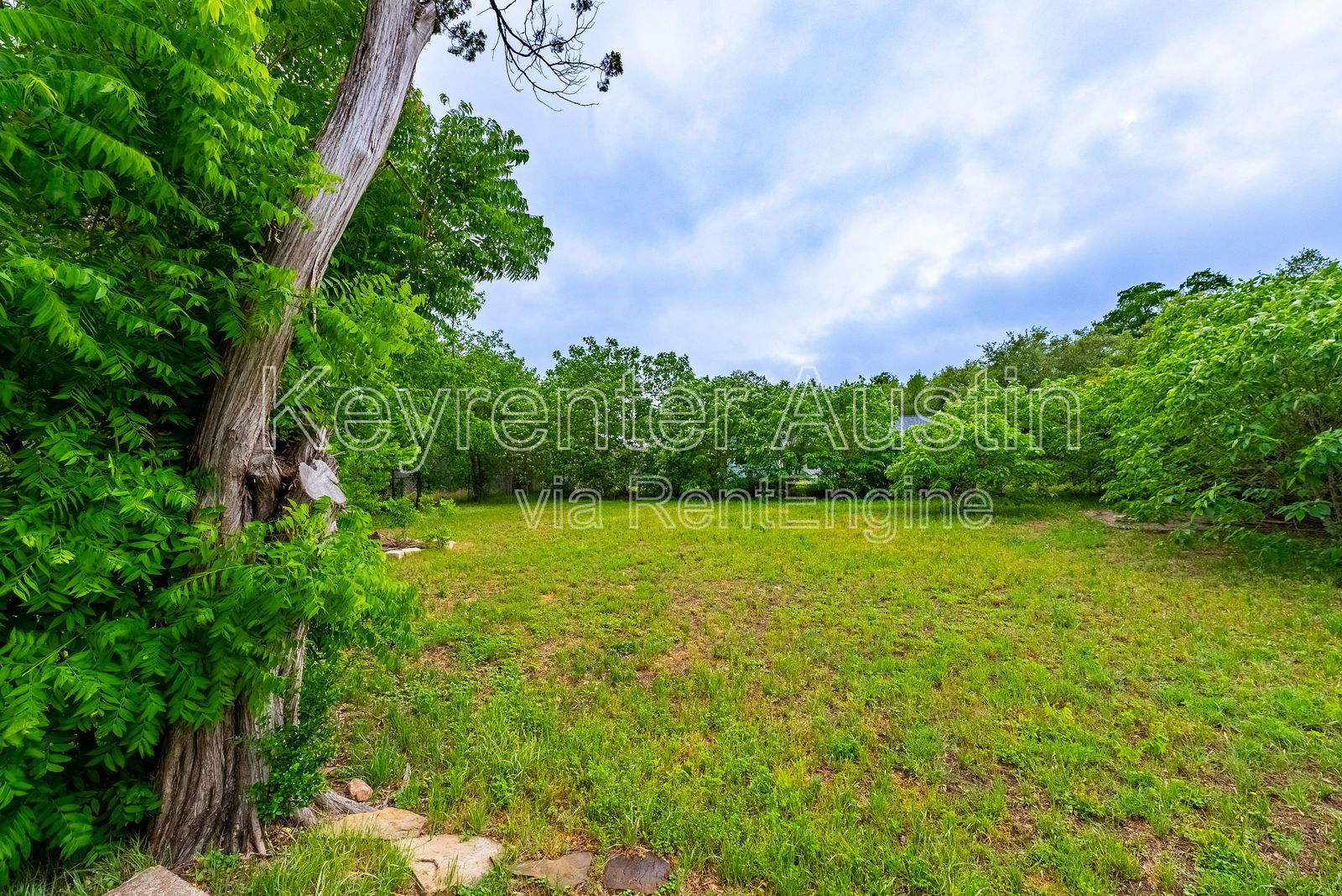 Gallery Image 17